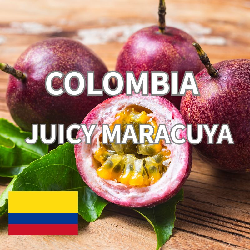 ������ӥ������塼�������ޥ饯���㡡����ե塼������ˡ  24/25