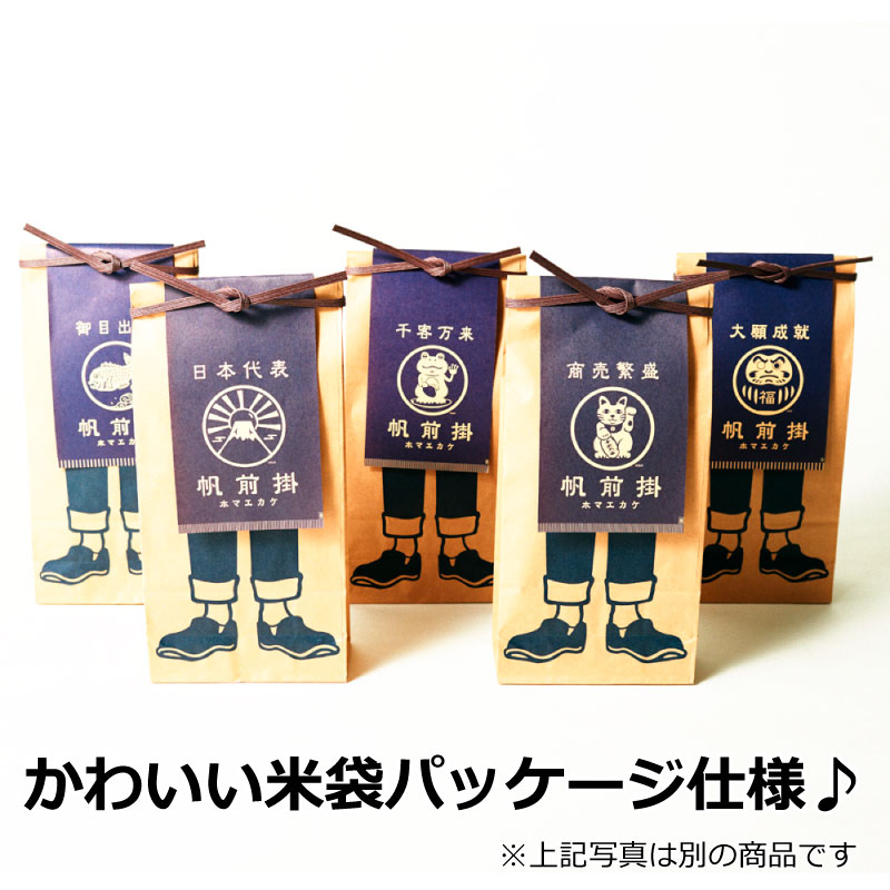 KOBOプロジェクト「プラナカン」 ロング前掛け