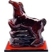 �������齩�����������ڽ��Ƽ��900ml ������Ȣ��