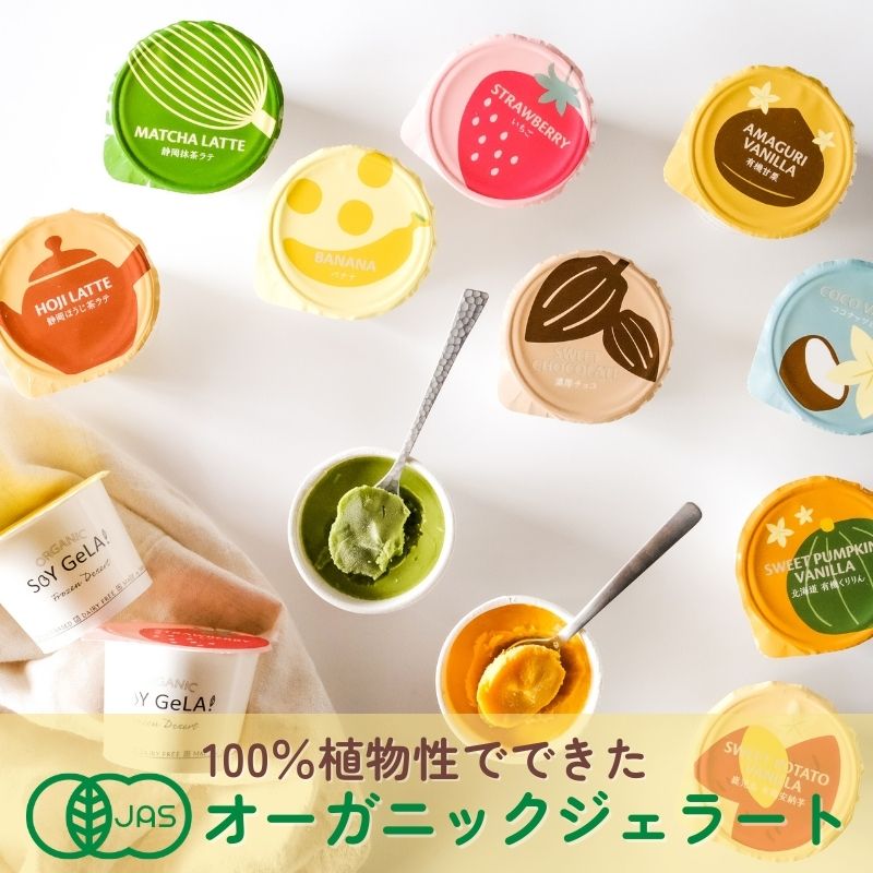 [送料無料]【メーカー直送品】SOY GeLAオーガニックアイス 12個セット　100mL×12個　賞味期限30日以上