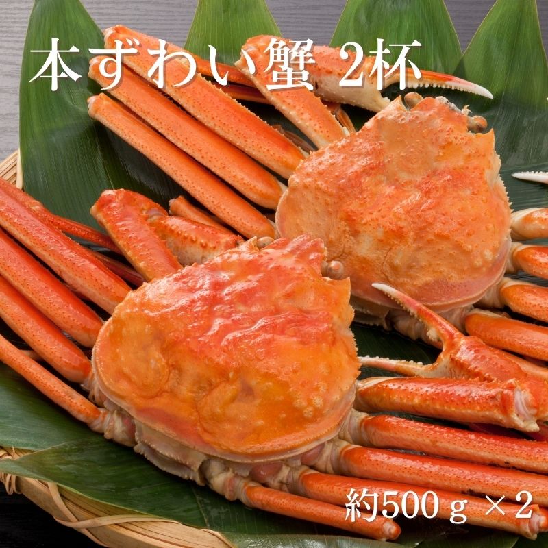 [送料無料]【メーカー直送品】本ずわい蟹 2杯　本ずわい蟹 約500g × 2杯　賞味期限30日以上