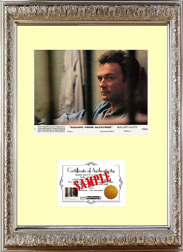 C オートグラフPHOTO用 銀色 額縁 (47×39.5cm) 写真横置 マット加工 ２窓