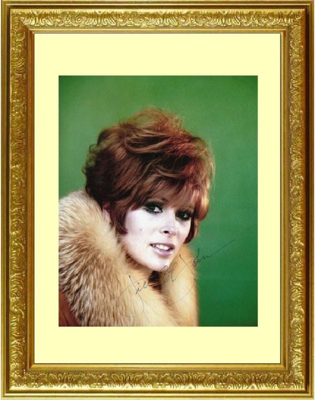 Jill St. John ジル セント ジョン 直筆サイン PHOTO