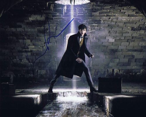 ファンタスティックビーストと黒い魔法使いの誕生 FANTASTIC BEASTS