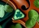 【ゆうパケット対象 】PDW St Paddy's Day Cat Eye