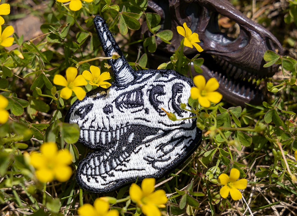 【ゆうパケット対象 】PDW T-Rexicorn Morale Patch