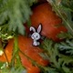 【ゆうパケット対象 】PDW Year of the Rabbit Cat Eye