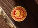 PDW Year of the Horse v2 Morale Patch