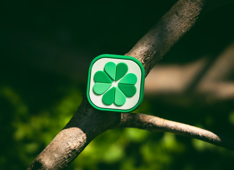 PDW 4 Leaf Clover Cat Eye
