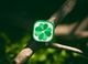 PDW 4 Leaf Clover Cat Eye