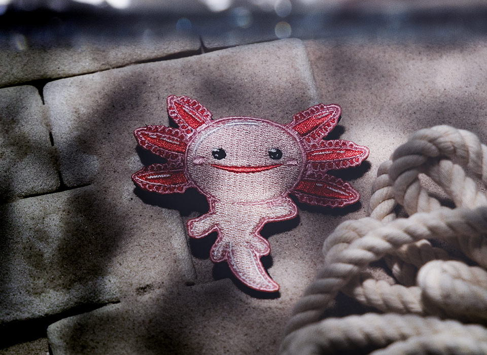 【ゆうパケット対象 】PDW Axolotl Morale Patch