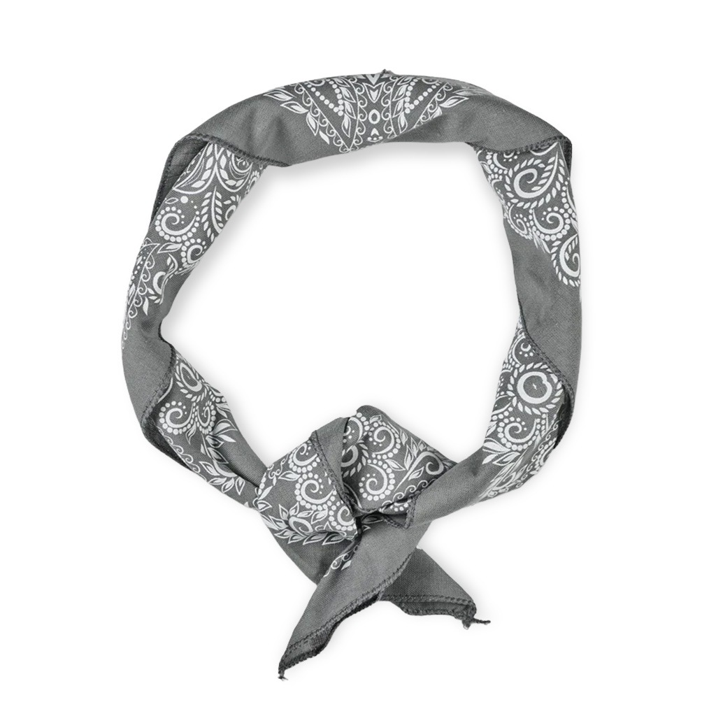 【PDW プロメテウス デザイン ワークス】Paisley Mythosaur Bandana