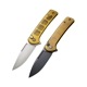 【CIVIVI シビビ】 Conspirator Flipper & Button Lock Knife Ultem Handle