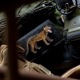 【ゆうパケット対象 】PDW Thylacine Morale Patch
