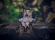 【ゆうパケット対象 】PDW Go Cat GO Morale Patch