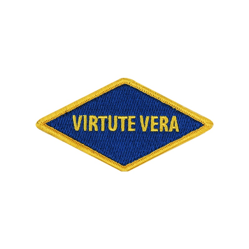 【ゆうパケット対象 】PDW Virtute Vera Vintage Tab Morale Patch