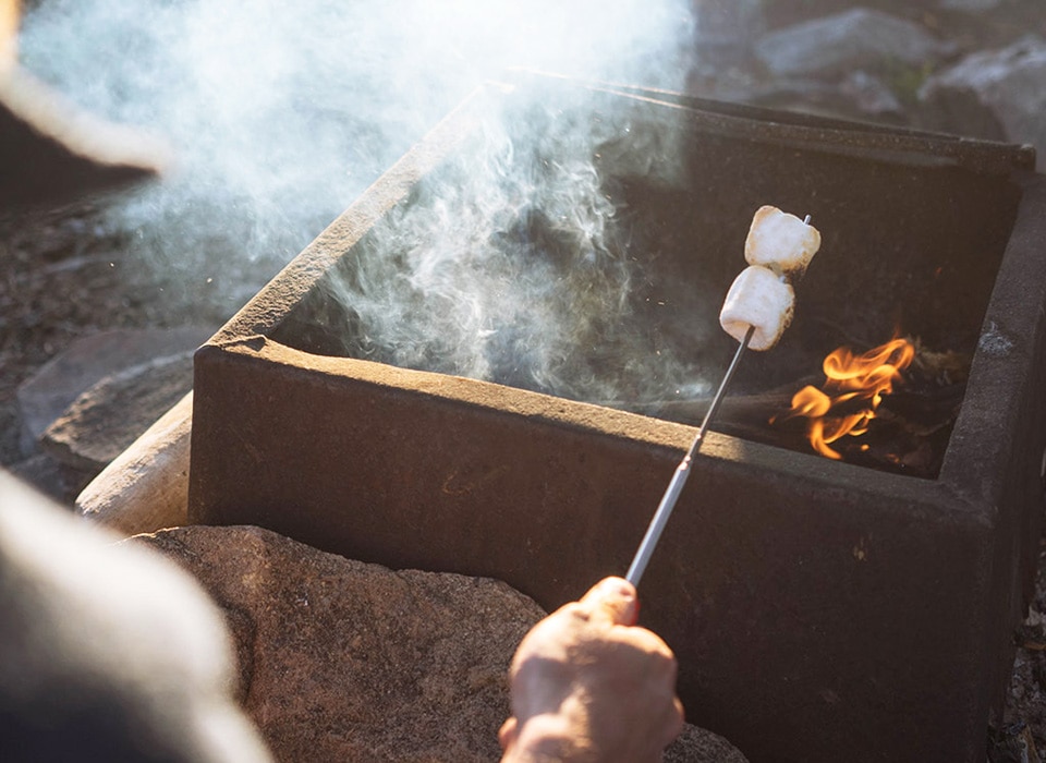 【Coghlan's コフラン】TeleScoping Fork