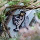 【ゆうパケット対象 】PDW Wild Thing King Morale Patch