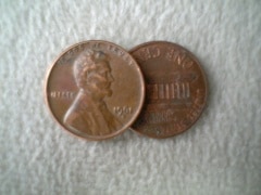 ����ꥫ�󡦥ڥˡ��ʥ쥮��顼�������