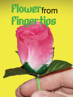 Flower from Fingertips