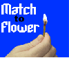 Match to Feather Flower(⥵)