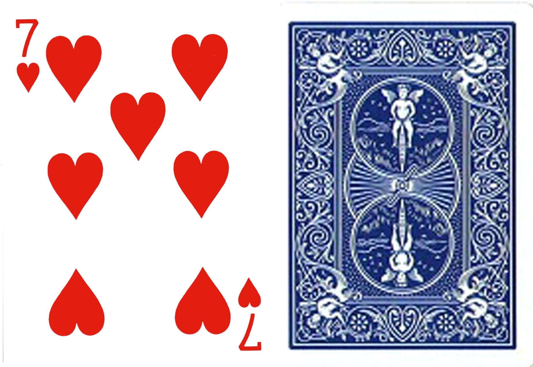 000000000669.jpg