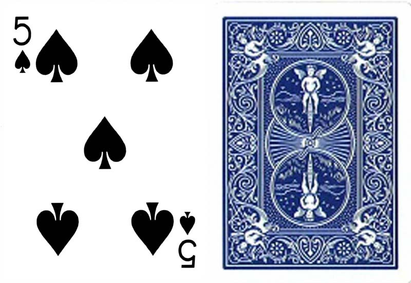 スペード5（ワンウェイ・フォーシングデック）青裏 Bicycle One Way