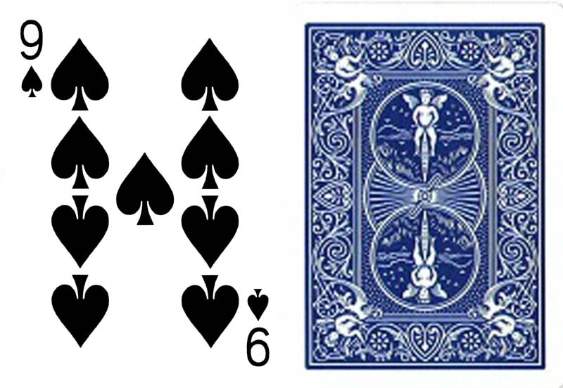 スペード9（ワンウェイ・フォーシングデック）青裏 Bicycle One Way