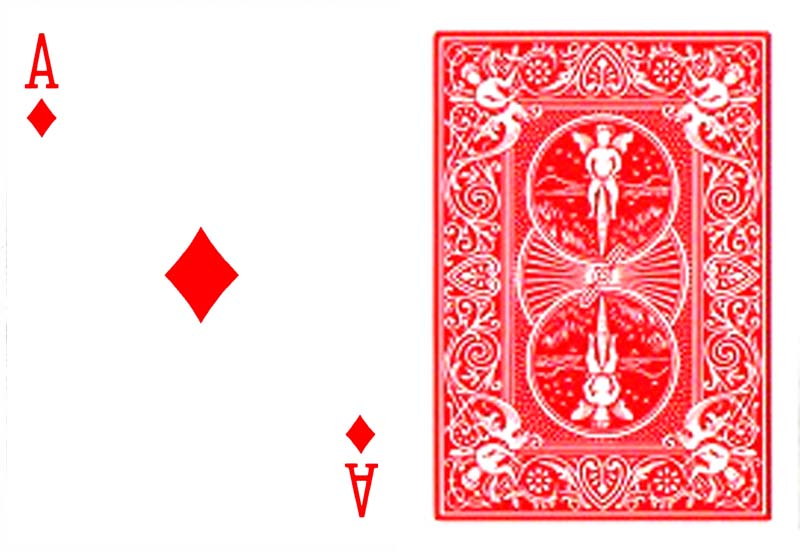 ダイヤA（ワンウェイ・フォーシングデック）赤裏 Bicycle One Way