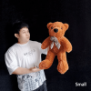ԥ󥰡ƥǥ٥ʾ / Appearing Teddy Bear 