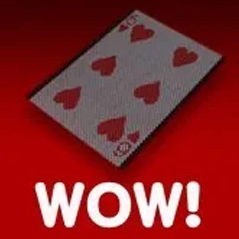 WOW���������