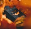 NOCtober Playing Cards