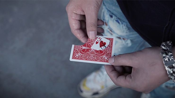 òTranslation by SansMinds Creative Lab