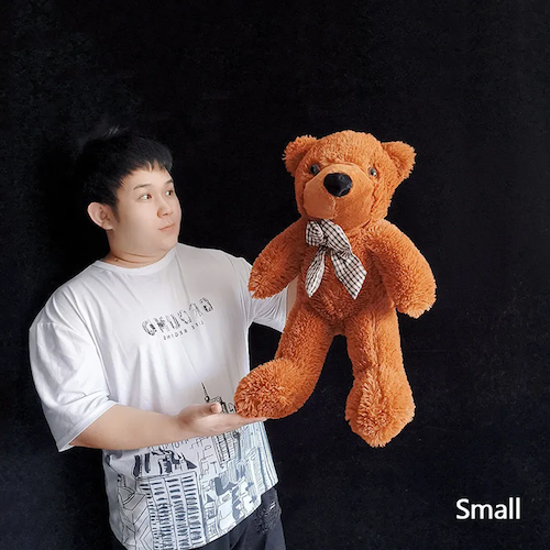 ���ԥ���󥰡��ƥǥ����٥��ʾ��������� / Appearing Teddy Bear ��