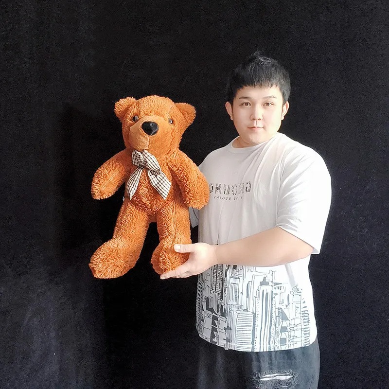 ���ԥ���󥰡��ƥǥ����٥��ʾ��������� / Appearing Teddy Bear ��