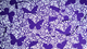 �Х��ե饤�ǥå� / Butterfly Playing Cards (Royal Purple Edition)