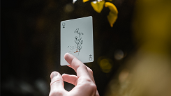 ���ò��������Whirl Playing Cards