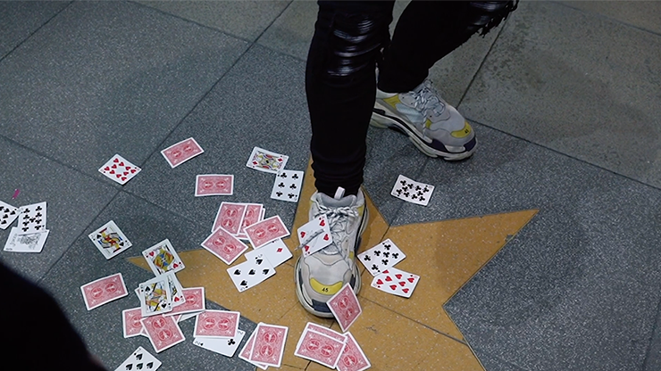 ���ò��ۥ����ɥ졼������� / Pro Series: Swordlace White (DVD and Gimmick) by SansMinds