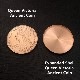 �������ѥ�ǥåȡ������롧�������󡦥ӥ��ȥꥢƼ�ߡʥ�륬�󥵥����� / Expanded Shell Queen Victoria Ancient Coin (Tail,Copper)