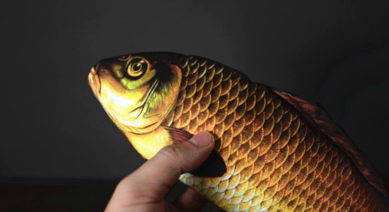 �ڥȥ��ץ����������ä��㤦���ۥ��᡼���󥰡��ե��å��塧28cm / Appearing Fish (28cm)