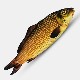 �ڥȥ��ץ����������ä��㤦���ۥ��᡼���󥰡��ե��å��塧28cm / Appearing Fish (28cm)