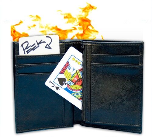 ���åץ��ե����䡼���å�(KAPS on Fire Wallet)
