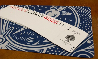 �ץ������꡼�ȡ�����������ޥåȡʥХ��������ġ�/Pro-elite Workers Mat (Blue Card Design)