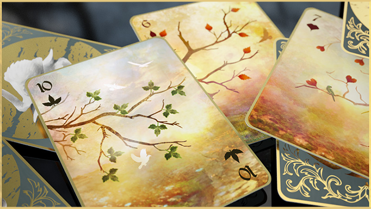 ���ò���Entwined Vol.1 (Rose) Summer Playing Cards