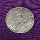 �Х��ĥ����ȡ���륬�󥳥���ʥ����顼��/Bite Coin (Morgan Dollar,Copper)��