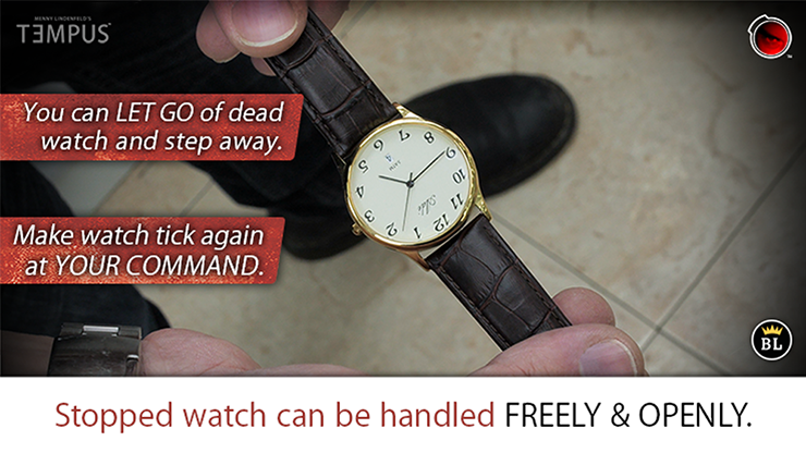 òۥƥץ / TEMPUS by Menny Lindenfeld 