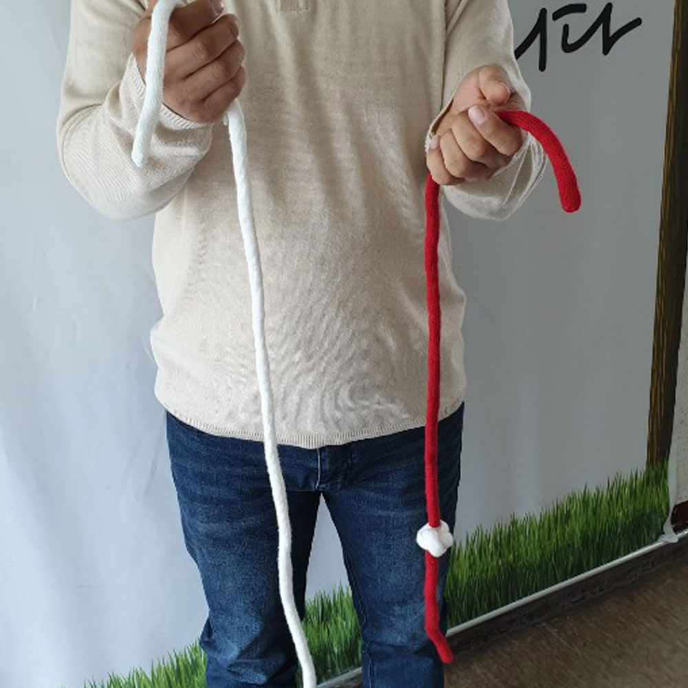 Moving Rope�ʥ��᡼���󥰡��������Хƥ��å����Υåȡˡ���