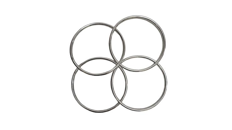 ��󥭥󥰥��DX (���ѥ������դ�) / Premium Linking Rings
