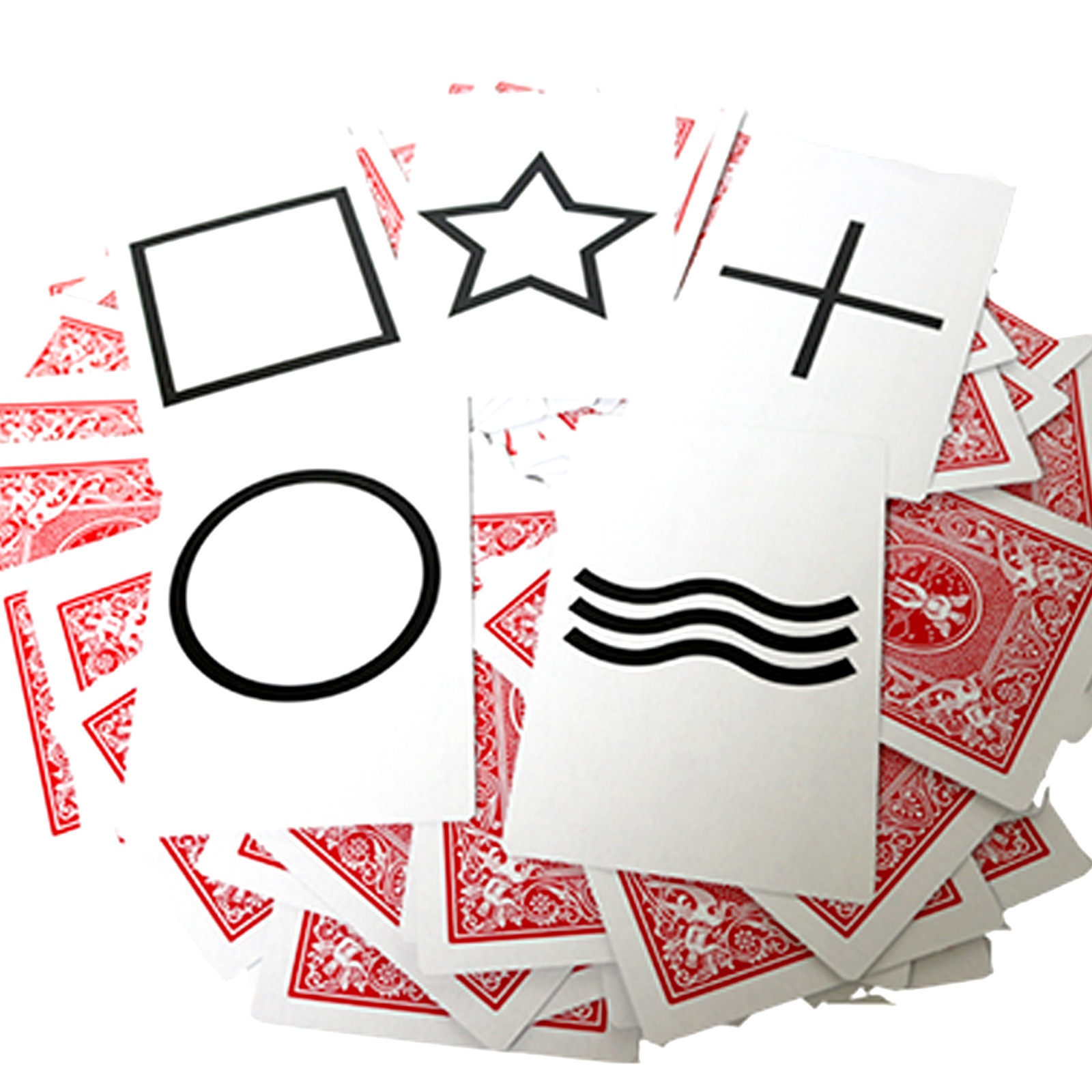 ������ESP�ǥå����֡� / Bicycle Jumbo ESP 50