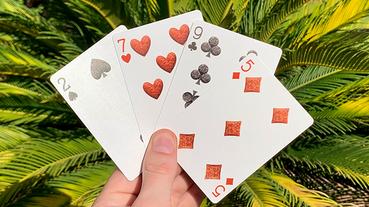 ڸ۶εǥå / Bicycle Dinosaur Playing Cards